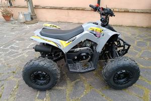 MINIQUAD PROFIVE EXPLORER 110