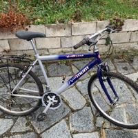 Bicicletta Venus 26 ''