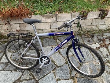 Bicicletta Venus 26 ''