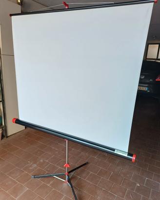 Schermo per proiezione