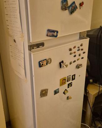frigo