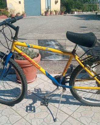 Bicicletta Carraro® 420 26'