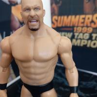 wwe action figure stive austin