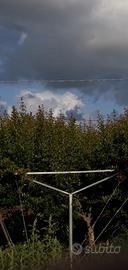 i impianto melograni