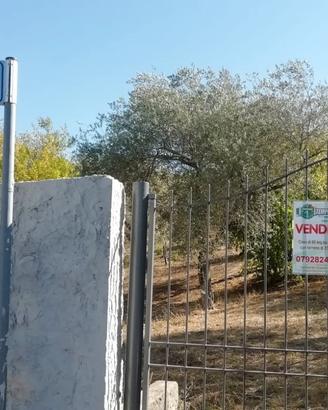 Segasidda Minori. Indipendente con terreno