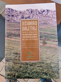 Dizionario dialettale