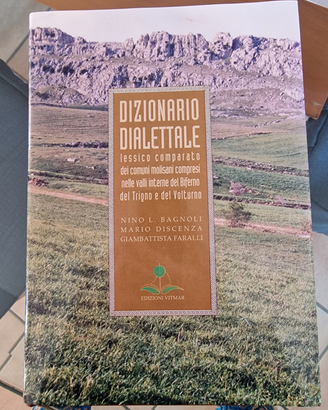 Dizionario dialettale