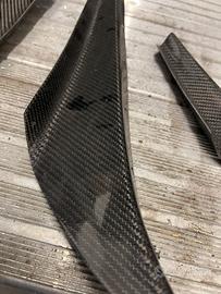 Canards carbonio