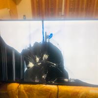 Tv per pezzi di ricambi