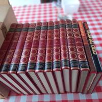 Cinclopedia Mille ruote 