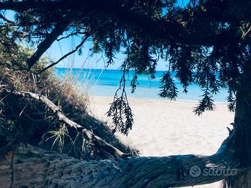 Settembre a pochi METRI dalla SPIAGGIA e dal MARE