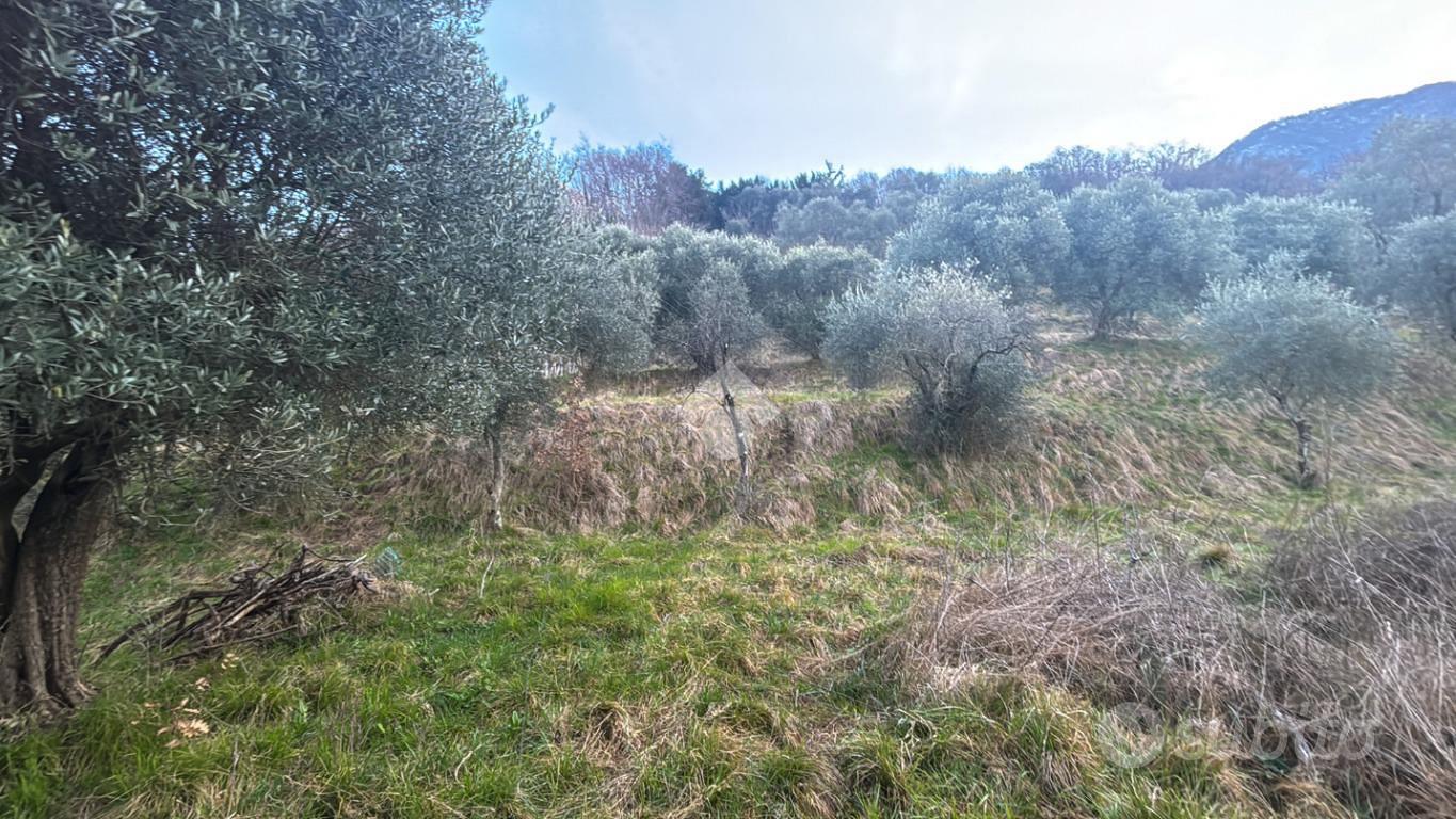TER. AGRICOLO A LIERNA - Vista 2