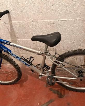Bicicletta da donna