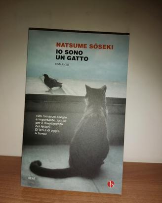 Libro Io sono un gatto, Natsume Souseki