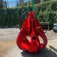 Benna a polipo Rozzi