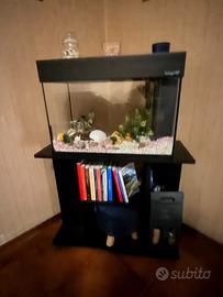 Acquario
