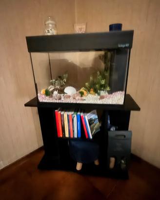 Acquario