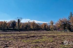 Terreno edificabile 11.000 mq pianeggiante