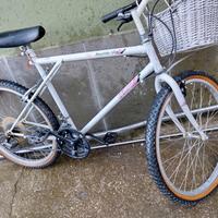 bici bike