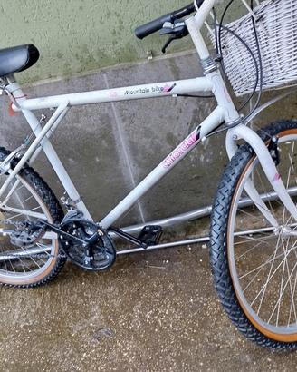 bici bike