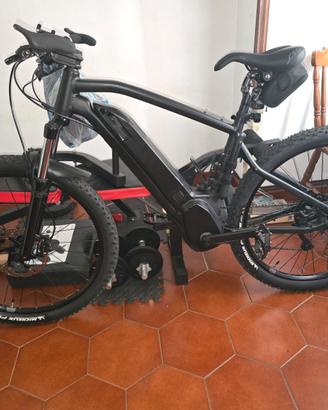 Ebike