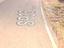 Immagine 11