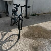 BICI trekking a pedalata assistita