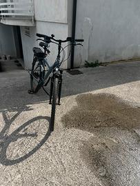 BICI trekking a pedalata assistita