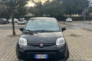 Fiat Panda 2023