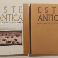 Este antica.Dalla preistoria all'età romana cofane