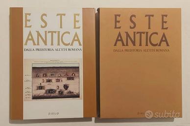 Este antica.Dalla preistoria all'età romana cofane