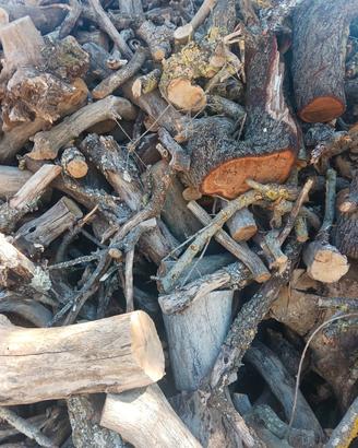 legna