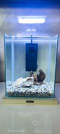 Acquario Zolux Jalaya 2