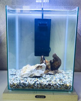 Acquario Zolux Jalaya 2
