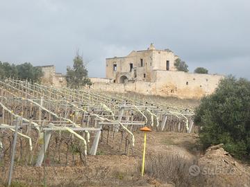 Masseria Storica