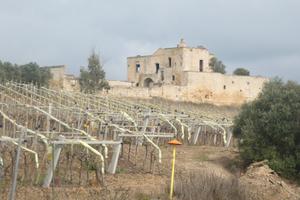 Masseria Storica