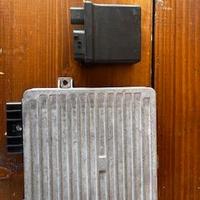 Kit Centralina + Modulo Relè Rover Mini Classic 1.