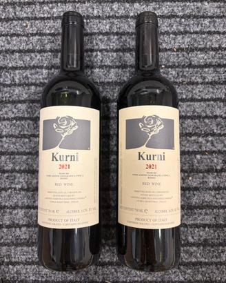 Kurni Vino 2021