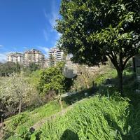 TER. RESIDENZIALE A MONTEROTONDO