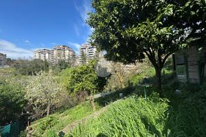 TER. RESIDENZIALE A MONTEROTONDO