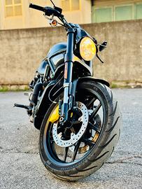 V-rod night rod special