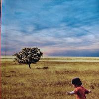 Libro Il silenzio di averti accanto