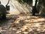 Immagine 27