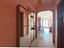 Immagine 7