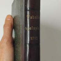 1912 VECCHIO ANTICO LIBRO CENSIMENTO COMUNI REGNO