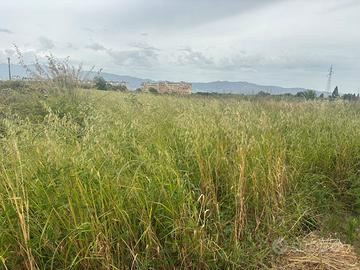 Terreno agricolo