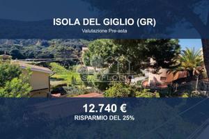 Immobile in asta di 100 m² a Isola del Giglio