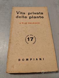 Baldacci Vita privata piante Bompiani IV ed