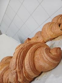 Pasticcare