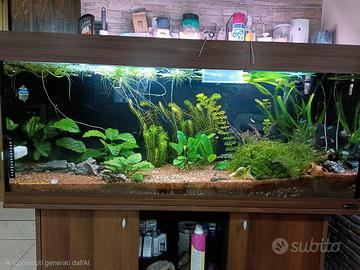 acquario 250 litri